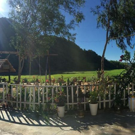 Phong Nha Rice Field Homestay エクステリア 写真