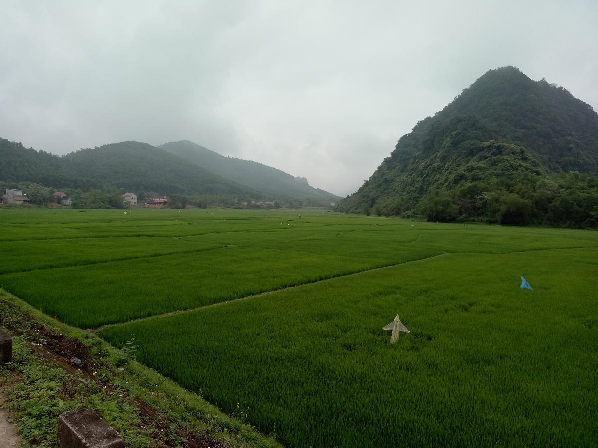 Phong Nha Rice Field Homestay エクステリア 写真