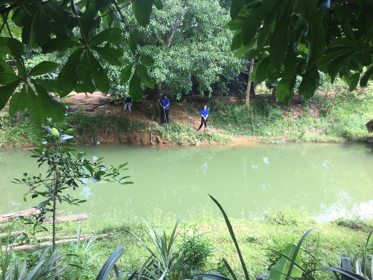 Phong Nha Rice Field Homestay エクステリア 写真