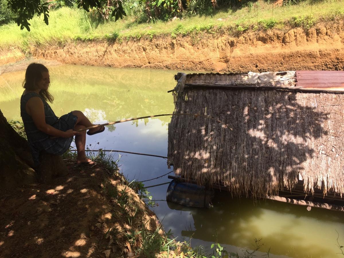 Phong Nha Rice Field Homestay エクステリア 写真