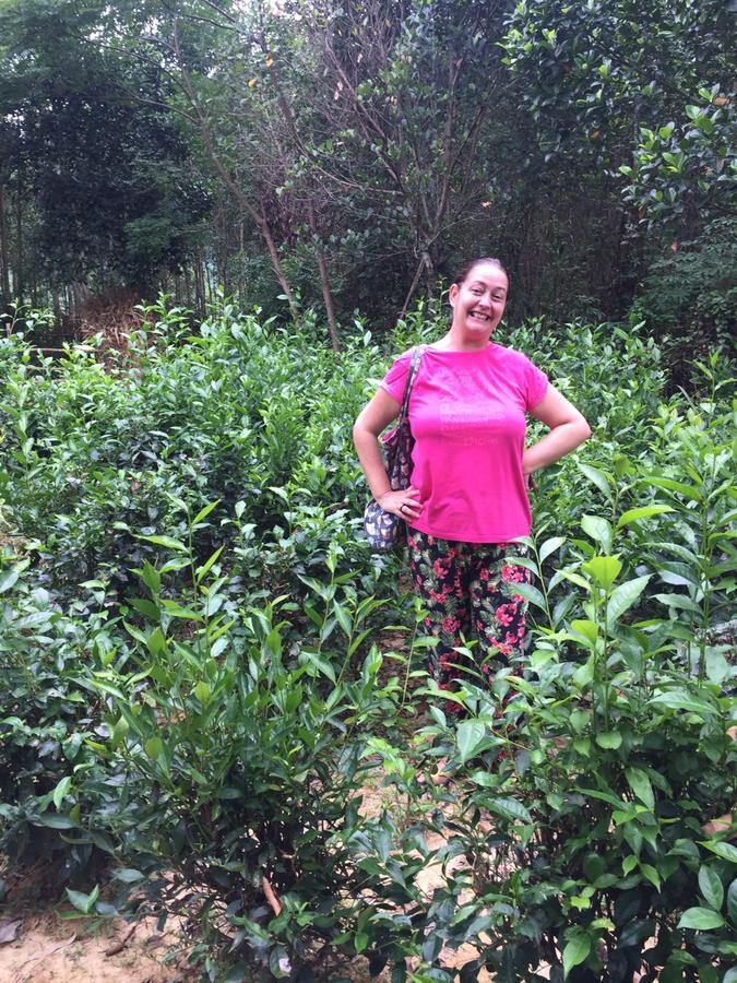 Phong Nha Rice Field Homestay エクステリア 写真