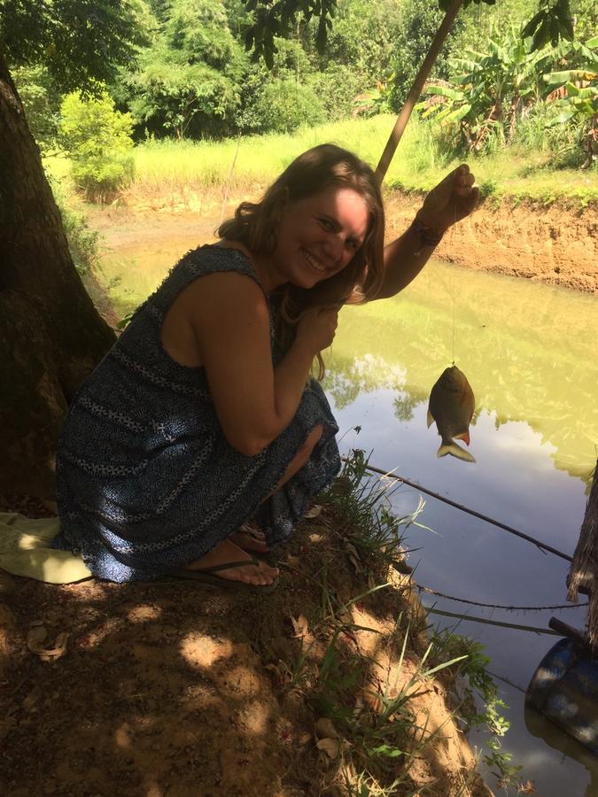Phong Nha Rice Field Homestay エクステリア 写真