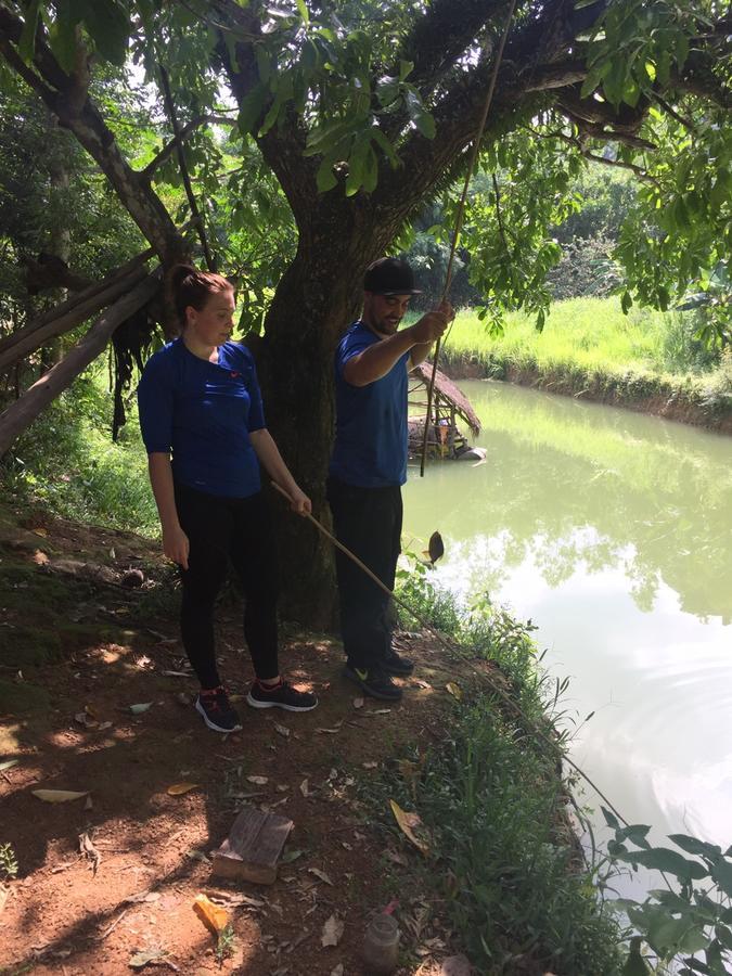 Phong Nha Rice Field Homestay エクステリア 写真