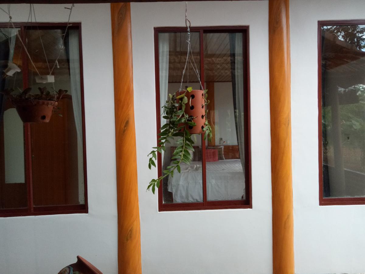 Phong Nha Rice Field Homestay エクステリア 写真
