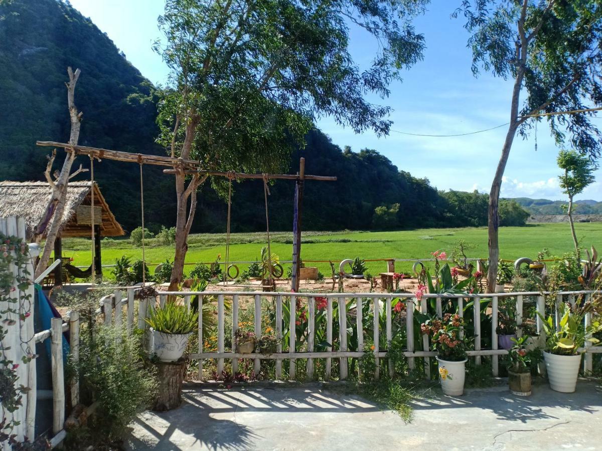 Phong Nha Rice Field Homestay エクステリア 写真